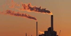 Save Money & Save the Planet